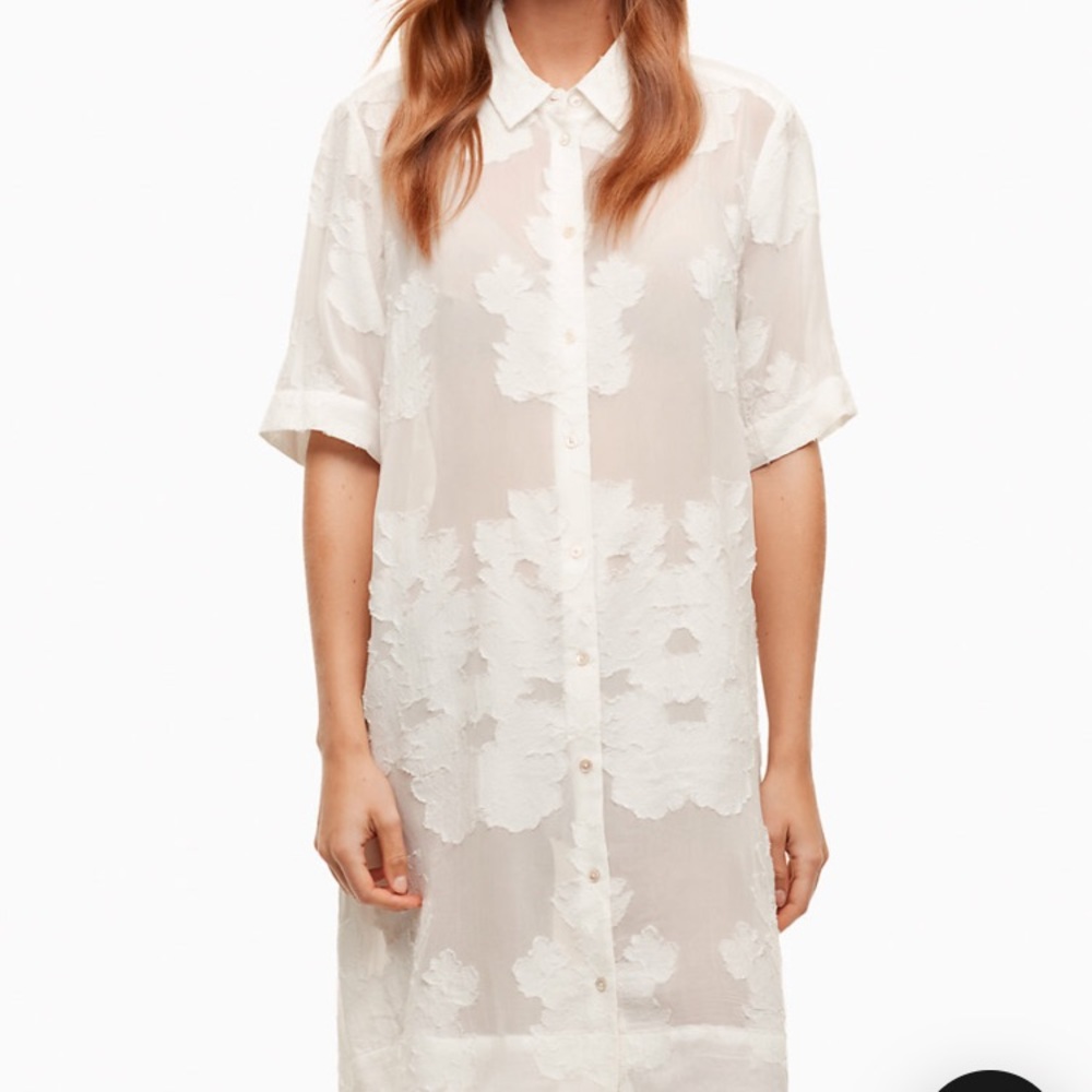 Aritzia Hemistiche Dress